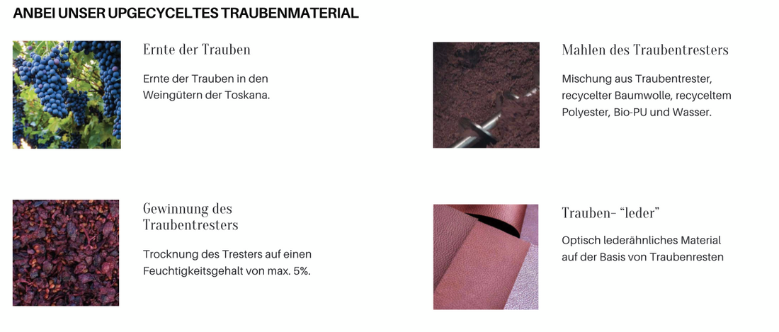 Fruchtschalen als Ausgangsstoff für Obstleder